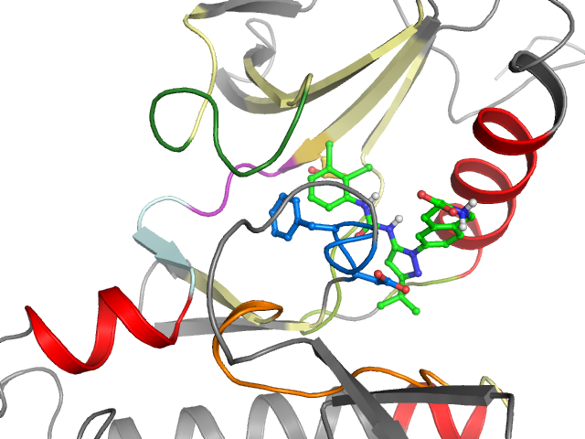 The orthosteric binding pocket
