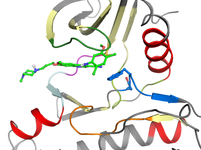 The orthosteric binding pocket