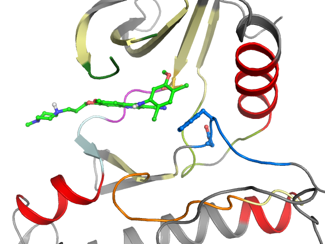 The orthosteric binding pocket