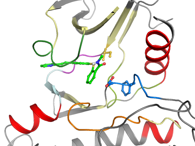 The orthosteric binding pocket