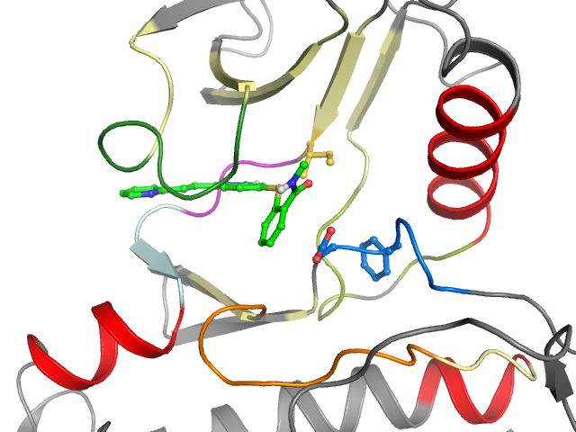 The orthosteric binding pocket