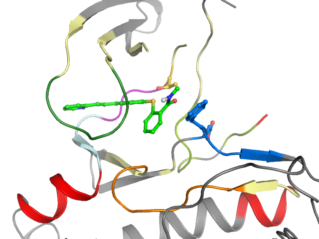The orthosteric binding pocket