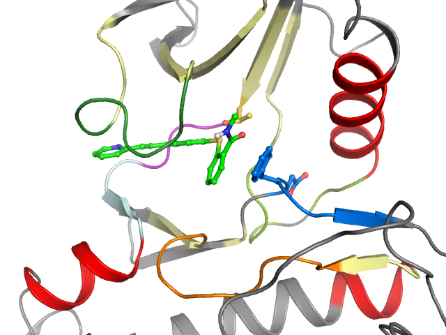 The orthosteric binding pocket