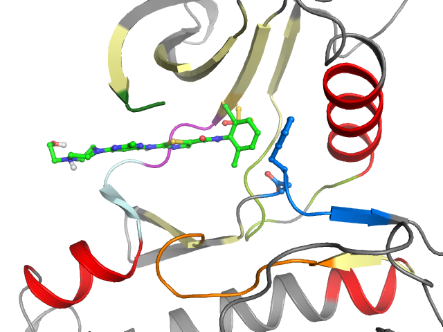 The orthosteric binding pocket