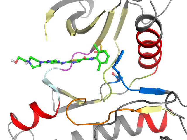 The orthosteric binding pocket
