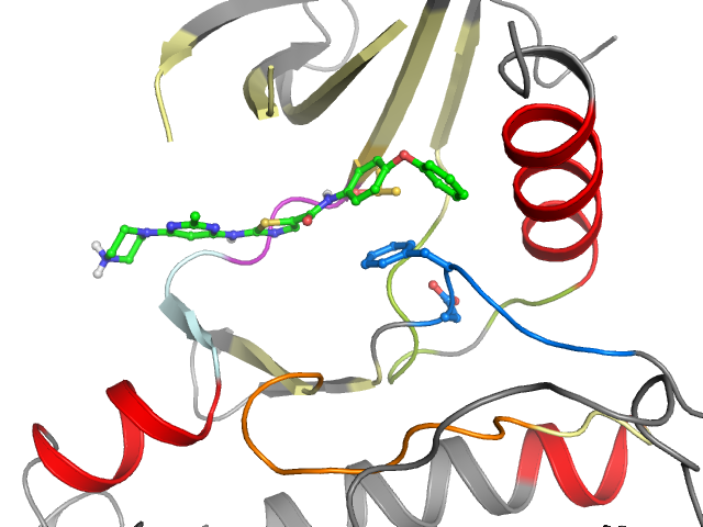 The orthosteric binding pocket