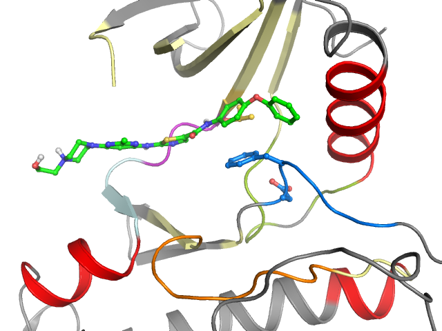 The orthosteric binding pocket