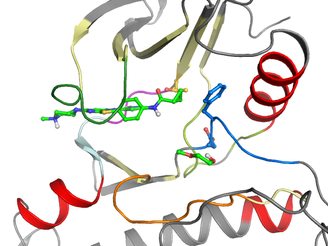 The orthosteric binding pocket