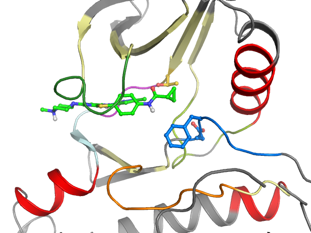 The orthosteric binding pocket