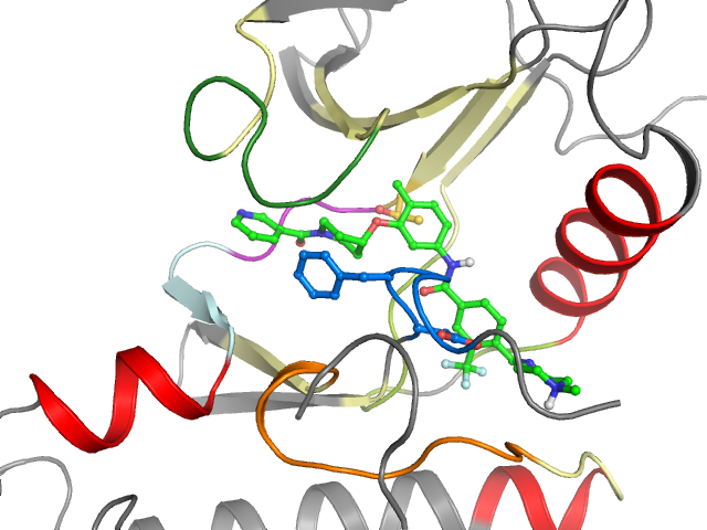 The orthosteric binding pocket