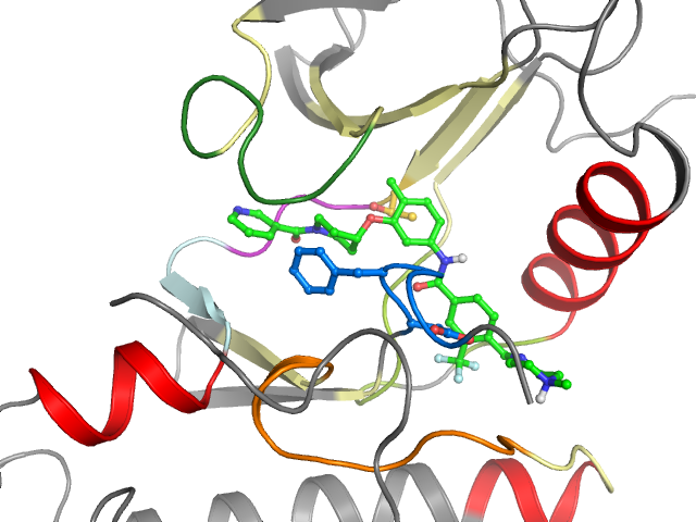 The orthosteric binding pocket