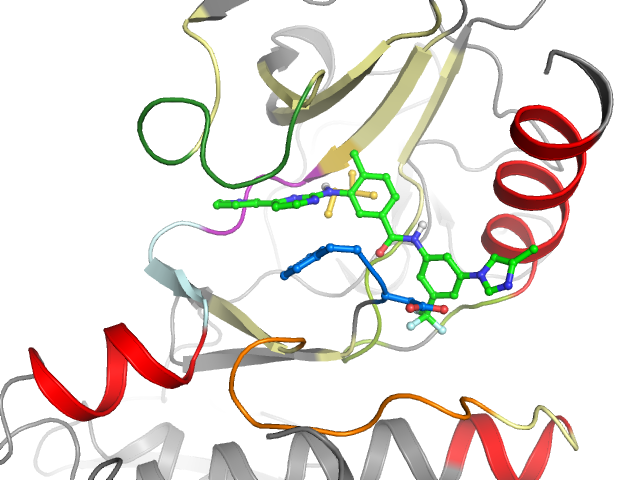 The orthosteric binding pocket