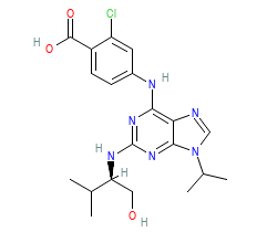 2D structure of the orthosteric ligand