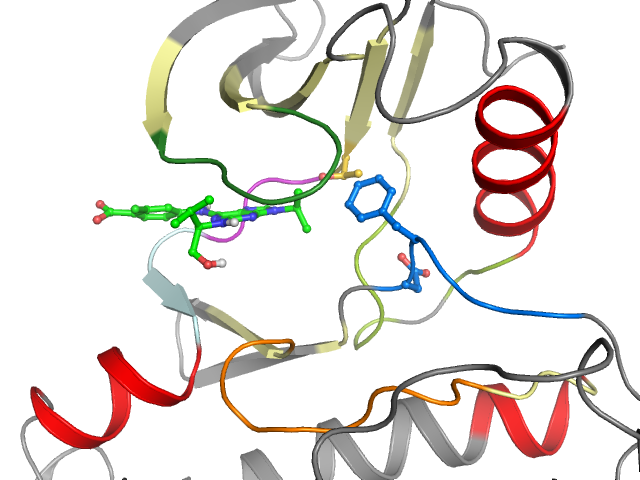 The orthosteric binding pocket