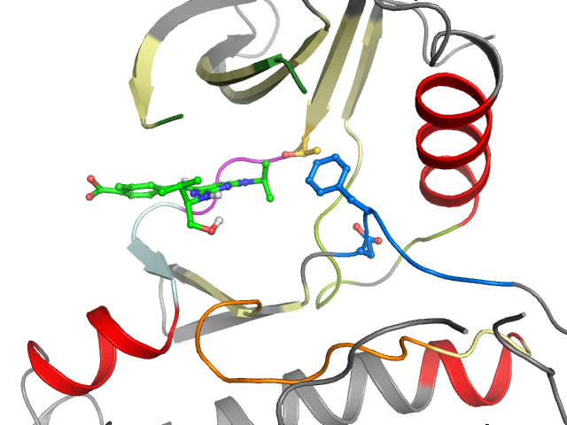 The orthosteric binding pocket