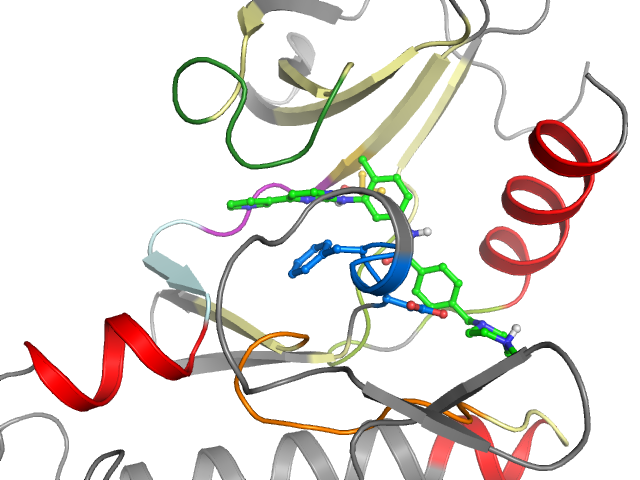 The orthosteric binding pocket