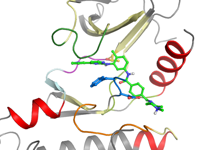 The orthosteric binding pocket