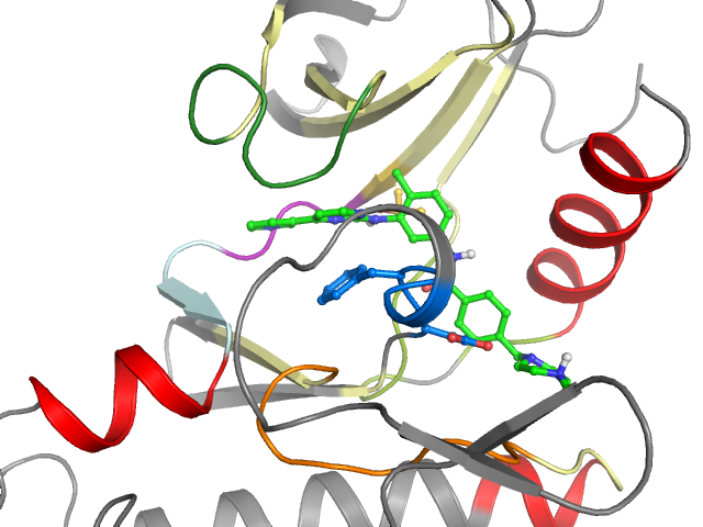 The orthosteric binding pocket