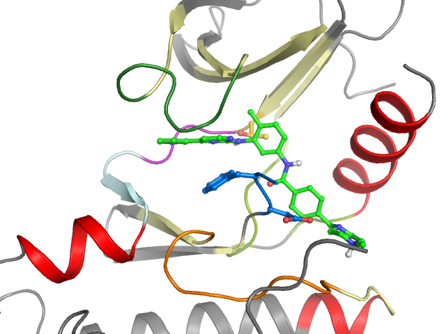 The orthosteric binding pocket
