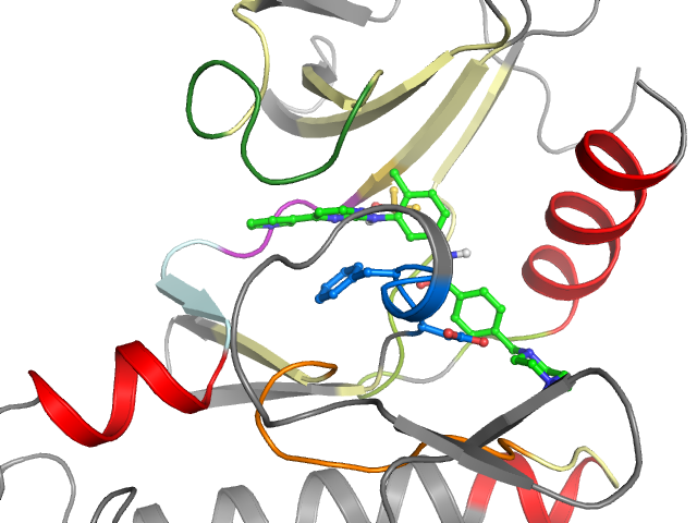 The orthosteric binding pocket
