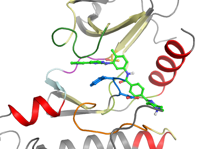 The orthosteric binding pocket