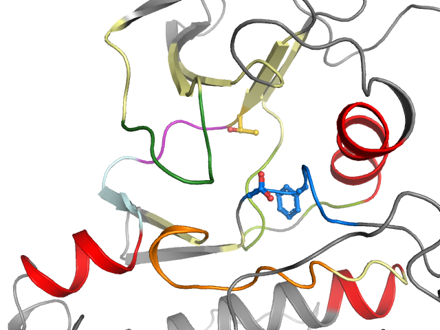 The orthosteric binding pocket
