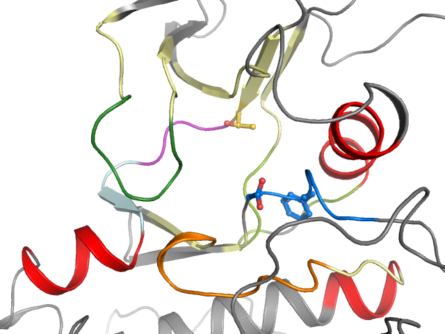 The orthosteric binding pocket