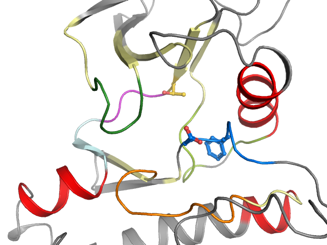 The orthosteric binding pocket