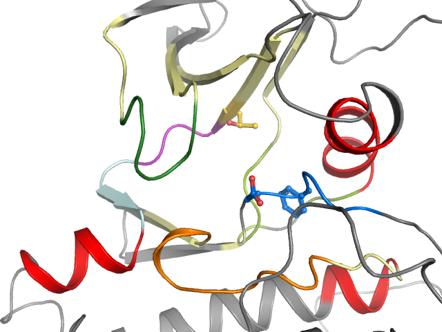 The orthosteric binding pocket