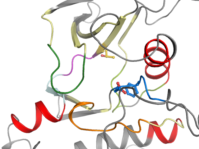 The orthosteric binding pocket