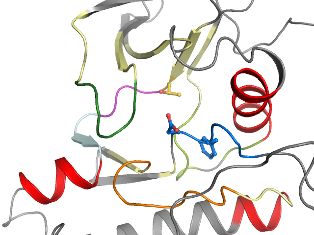 The orthosteric binding pocket