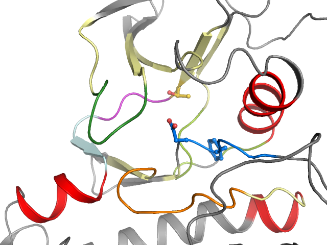 The orthosteric binding pocket