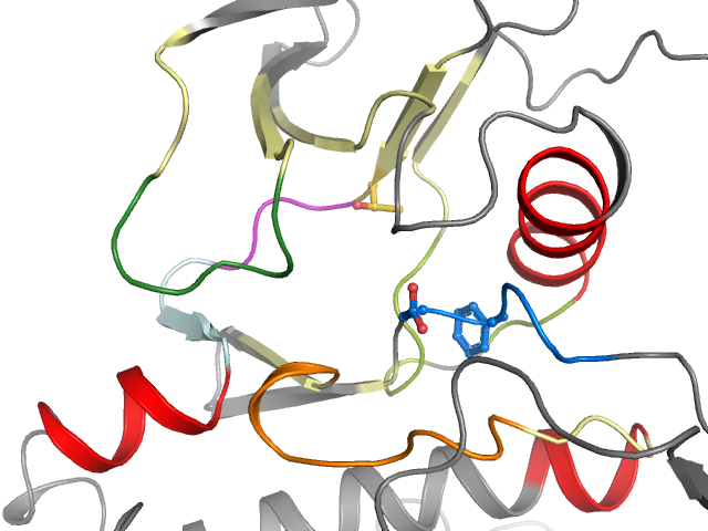 The orthosteric binding pocket
