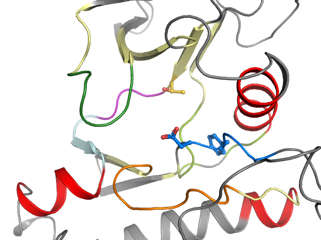 The orthosteric binding pocket
