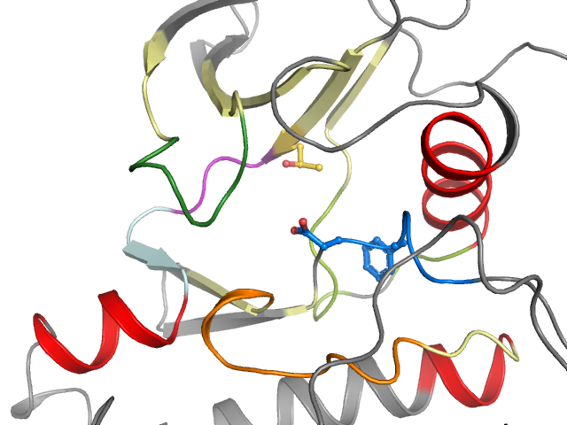 The orthosteric binding pocket
