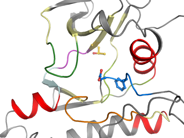 The orthosteric binding pocket