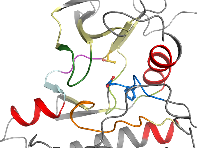 The orthosteric binding pocket