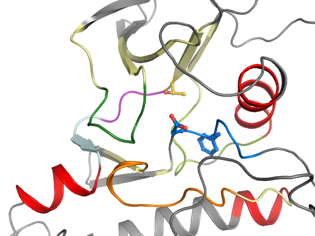 The orthosteric binding pocket
