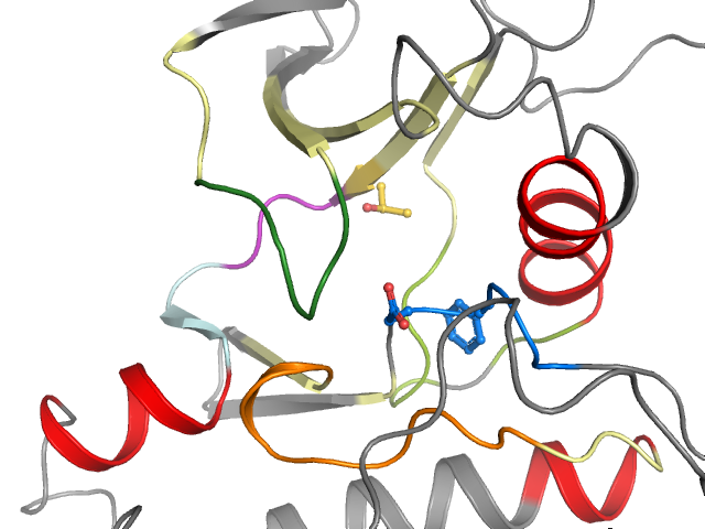 The orthosteric binding pocket