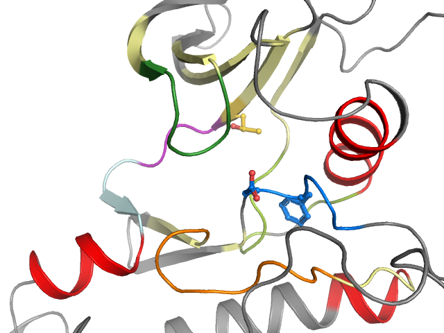The orthosteric binding pocket
