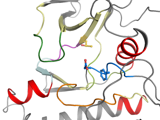 The orthosteric binding pocket