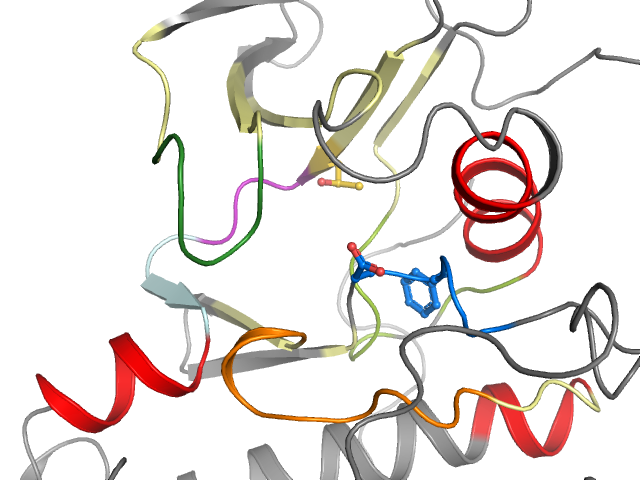 The orthosteric binding pocket