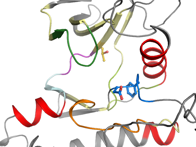 The orthosteric binding pocket