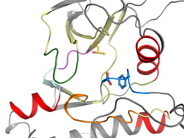 The orthosteric binding pocket