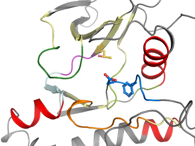 The orthosteric binding pocket