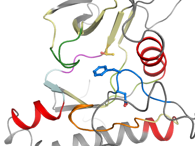 The orthosteric binding pocket
