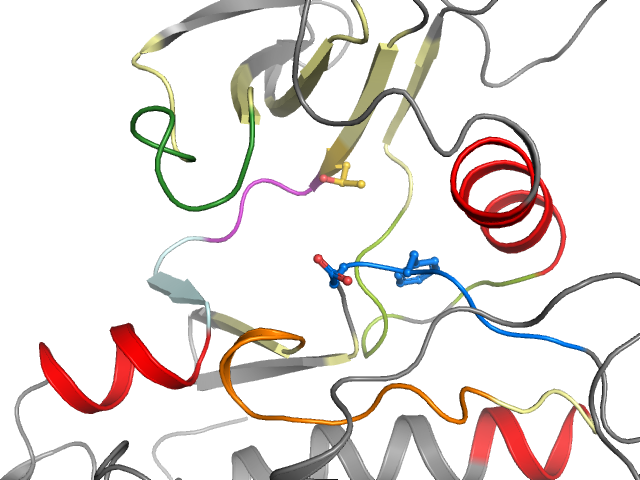 The orthosteric binding pocket