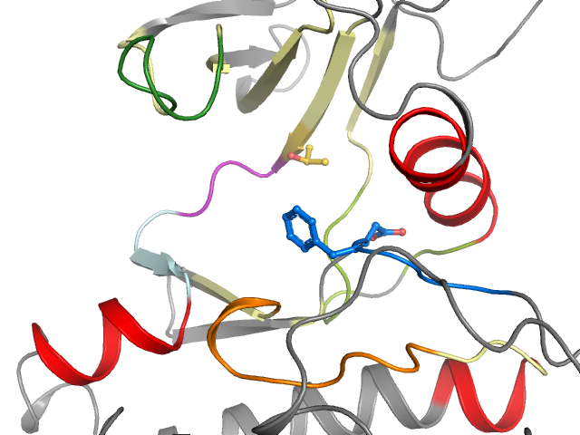 The orthosteric binding pocket