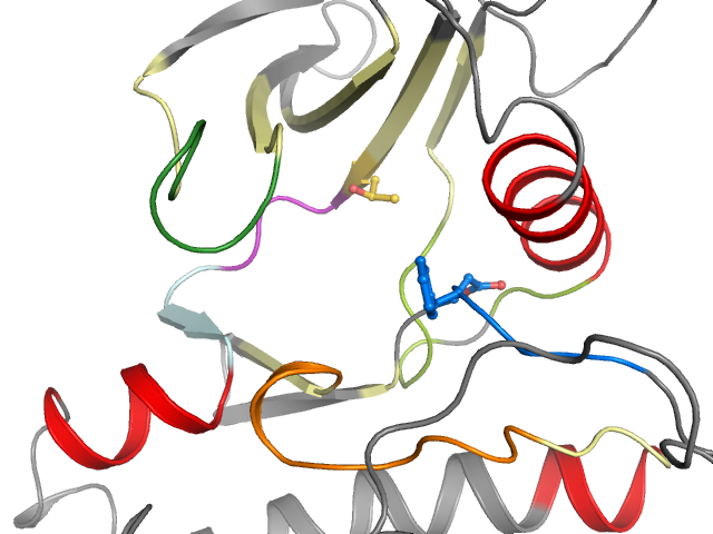 The orthosteric binding pocket