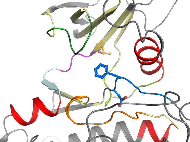 The orthosteric binding pocket